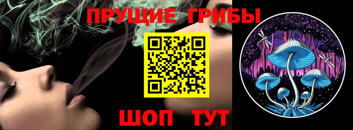 Саранск  Псилоцибиновые грибы Psilocybe  Вход с VPN 